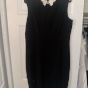 Eva Mendes for New York & Company Black Dress with White Accent